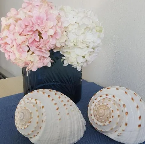 Du Parc 卡托利卡